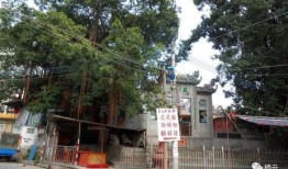 饶平黄冈爆料事件最新,真相与争议交织的校园风云